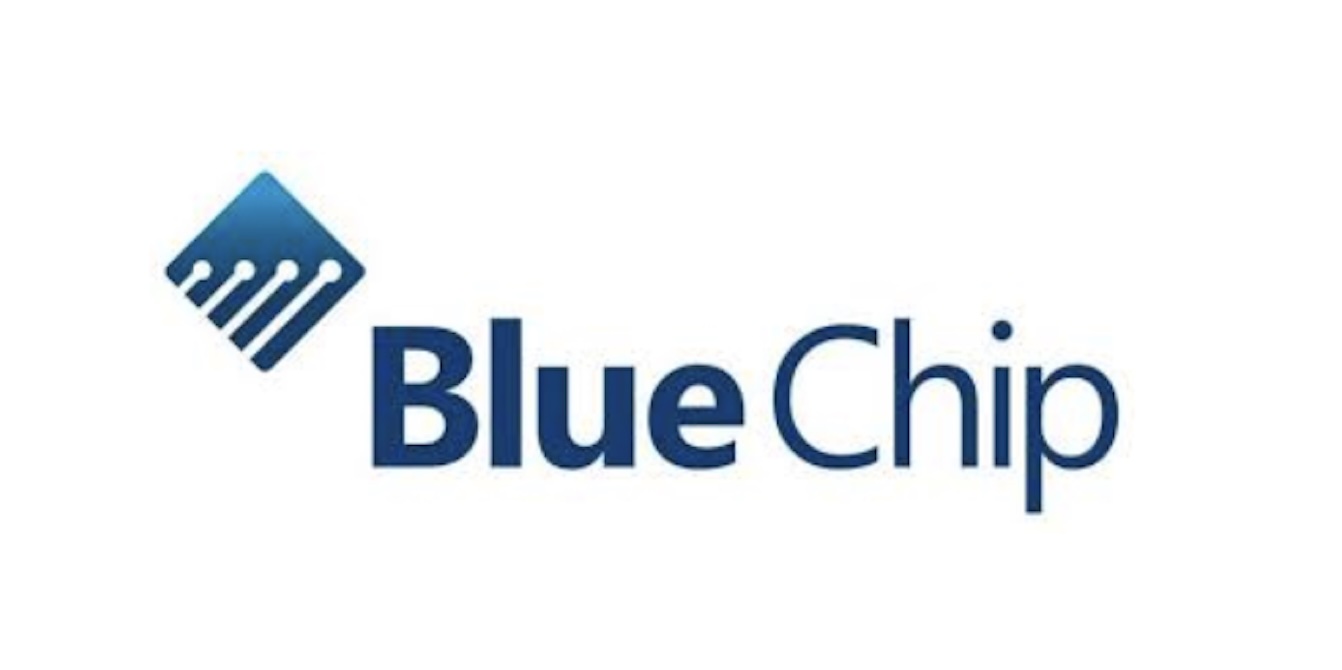 Blue Chip Consulting Group